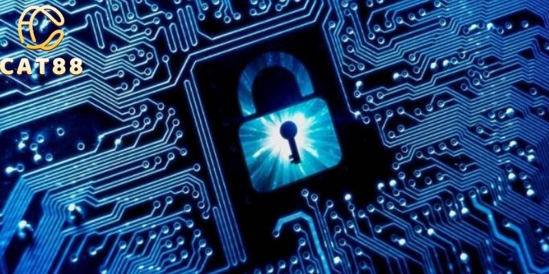 Chính sách bảo mật mã hóa dữ liệu người chơi an toàn